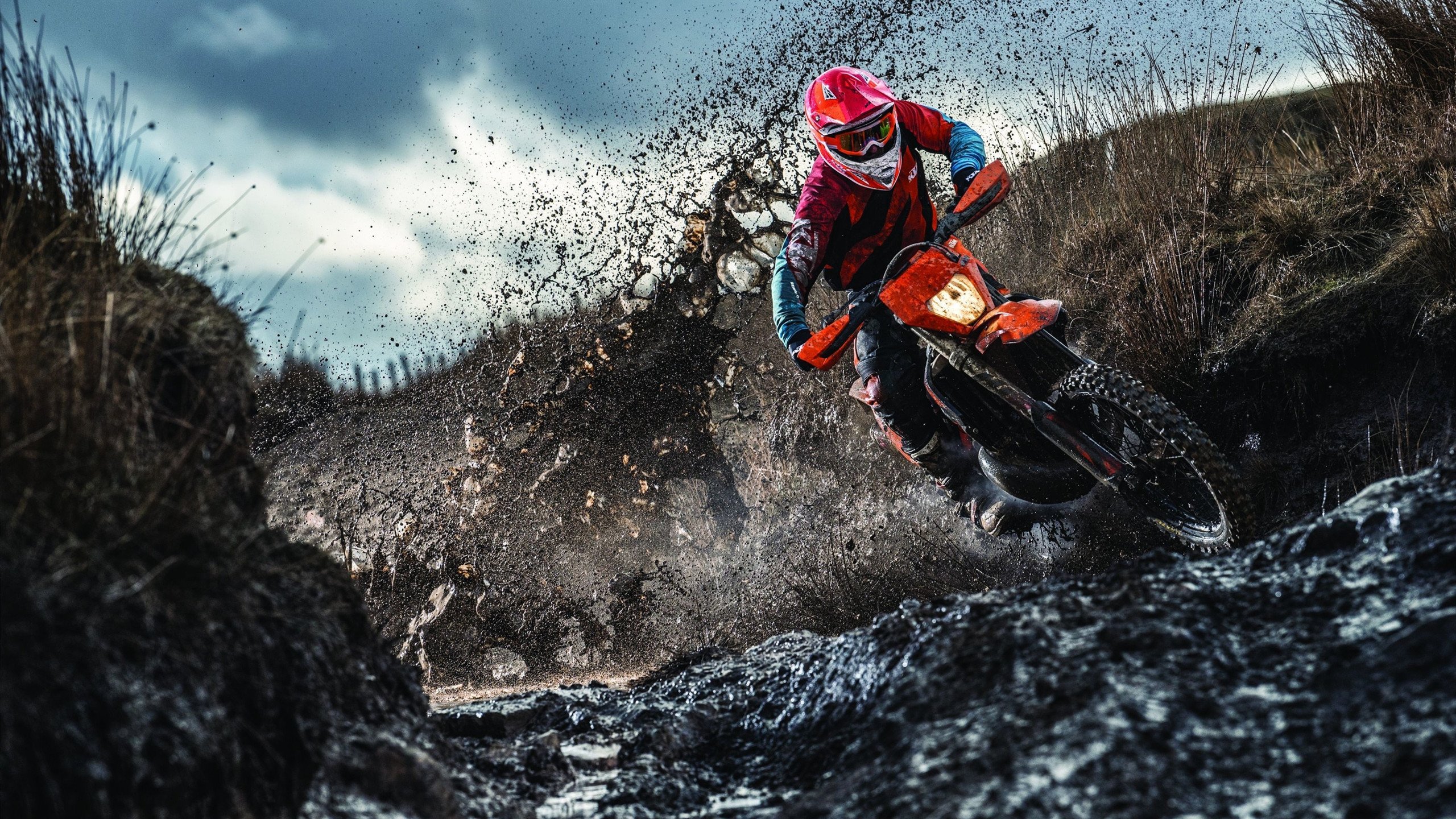 开云体育登录-绝境突围！乌拉圭铁血一击撕碎沙特，这一刻他们向世界宣告，足球从不相信眼泪